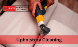The Definitive Guide To Finding The Best Upholstery Cleaning Services
