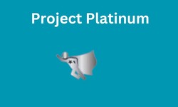 Project Platinum Reviews: Does It Really Work?