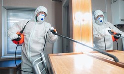 How to Remove Pests from Your Home