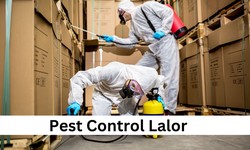 Why Pest Control is Crucial for Homeowners in Lalor: Tips and Tricks!