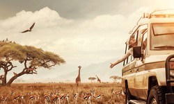 BEST WILDLIFE SAFARI DESTINATIONS