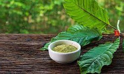 Understanding the different types of horned kratom and their effects