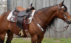Western Saddle For Sale