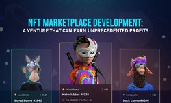What are the Features of the NFT marketplace?