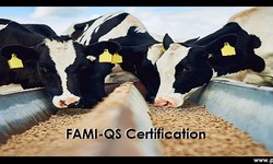 How Punyam.com Assists in Completing a FAMI-QS Certification Process Without Any Inconsistencies