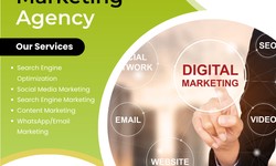 Brainmine Digital Marketing Agency in Pune