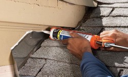 Your Roof Leaks? Don't Be Lazy!