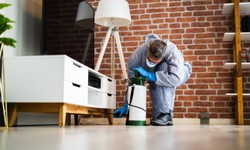 The Importance of End of Lease Pest Control for Your Next Hobart Rental Property
