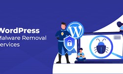 Stop Ransomware with WordPress Website Malware Removal Company