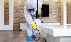 Effective Pest Extermination Methods: Say Goodbye to Unwanted Guests