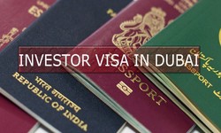 Apply for Investor Visa in Dubai from a Reliable Source