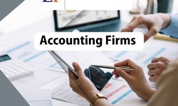 Pros & Cons of Different Types of Accounting Firms in Singapore