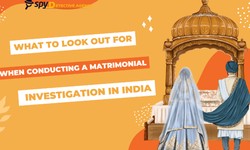 What to look out for when conducting a matrimonial investigation in India?
