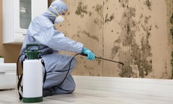 Don't Let the Bed Bugs Bite: Our Pest Control Services Can Help