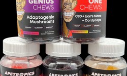 Can Mushroom Supplements Be Used for Health Benefits?