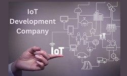 Top Things to Consider When Hiring a IoT Development Company for Your Project