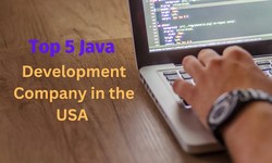 Top 5 Java Development Company in the USA