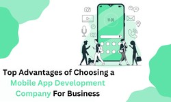 Top Advantage of Hiring a Mobile App Development Company Dubai for Business