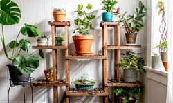 10 Easy Indoor Gardening Ideas for Small Spaces