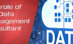 The role of the Data Management Consultant