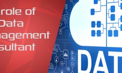 The role of the Data Management Consultant