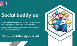 Social buddy social media marketing company