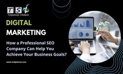 How a Professional SEO Company Can Help You Achieve Your Business Goals?