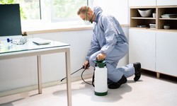 Pest Control Tips for Your Home and Office