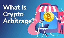 What are the vital aspects of crypto arbitrage vip?