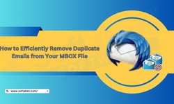 How to Efficiently Remove Duplicate Emails from Your MBOX File