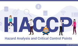 What Information Must be Included in the HACCP Food Safety Audit Checklist?