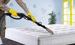 Revitalize Your Sleeping Space: The Ultimate Guide to Mattress Cleaning in Sydney
