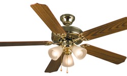 Why Ceiling Fans with Lights Are a Must-Have in Every Sydney Home