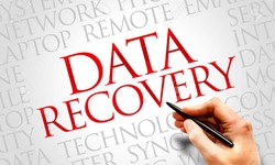 In Dubai, there are numerous possibilities for replacing Data Recovery