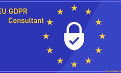 EU GDPR Consultant: Everything You Should Know Before Becoming a Consultant