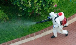 Pest Control Tips: How to Keep Your Home Safe from Pests