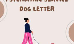 How To Get a Psychiatric Service Dog Letter?