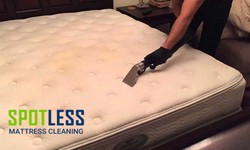 The Surprising Benefits of Regularly Cleaning Your Mattress