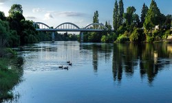 Businesses For Sale in Waikato