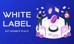 Exploring the Potential of White-Label NFT Marketplaces for Physical Asset