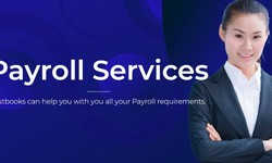 Why Outsourced Payroll Services in Ireland are the Best Choice for Small Businesses