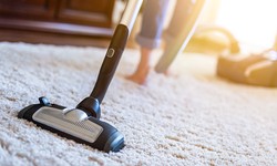 5 Essential Tips for Effortless Carpet Cleaning