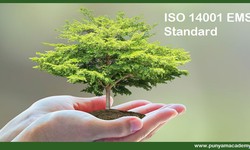 5 Key Elements that Help to Make a Successful ISO 14001 EMS System