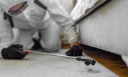 Protect Your Business and Reputation: Why Pest Control is Crucial for Small Business Owners