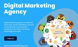 Benefits of Hiring a Leading Digital Marketing Company in India