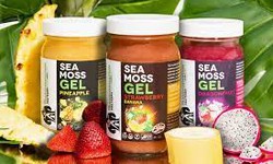 Sea Moss Gel Recipes: Delicious Ways To Enjoy The Benefits Of Sea Moss