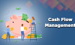 5 Tips for Better Cash Flow Management in Delhi NCR