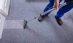 Why Regular Upholstery Cleaning is Essential for a Healthy Home in Perth?