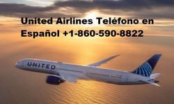 ¿Qué hace un representante de servicio al cliente en United Airlines?