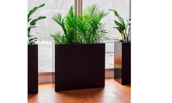 The Art of Biophilic Design: Integrating Modular Planter Boxes into Your Restaurant Layout